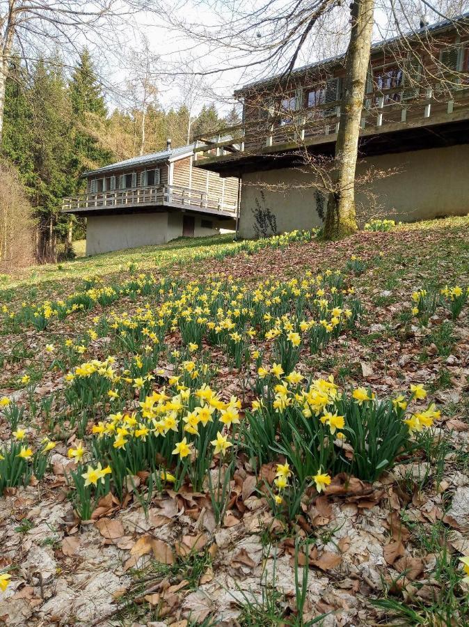Villa Le Nid Des Mesanges Büllingen Exterior foto